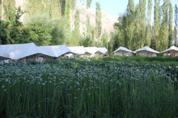 Mystique Meadows Swiss Cottages, Nubra valley 4